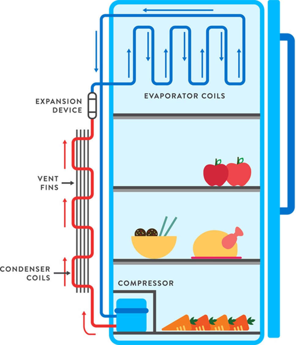 Diagram of how a modern refrigerator works