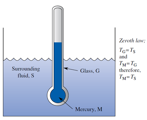 The zeroth law of thermodynamics applied to mercury in a glass thermometer